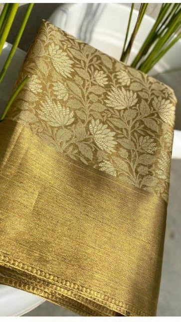 Nita Ambani Mam Kanchipuram tissue Saree